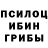 Галлюциногенные грибы GOLDEN TEACHER TrenerTomsk