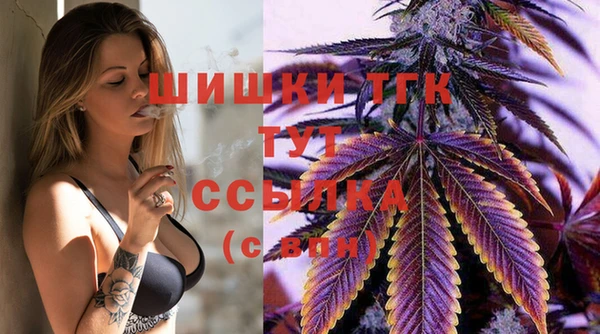 тгк Абдулино