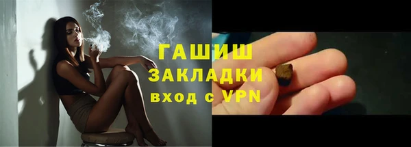 стаф Алзамай
