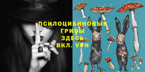 шишки Рославль