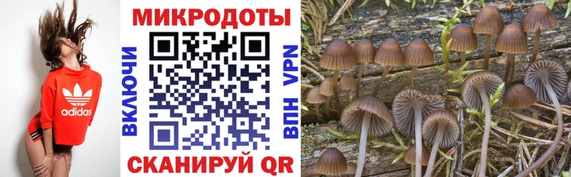 Псилоцибиновые грибы GOLDEN TEACHER  OMG ссылки  Богородицк 